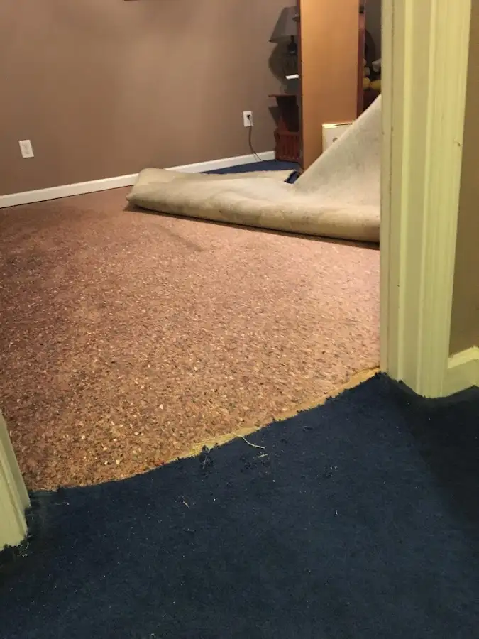 Carpet pad removal revealing water damage during Drying & Dehumidification in Roanoke