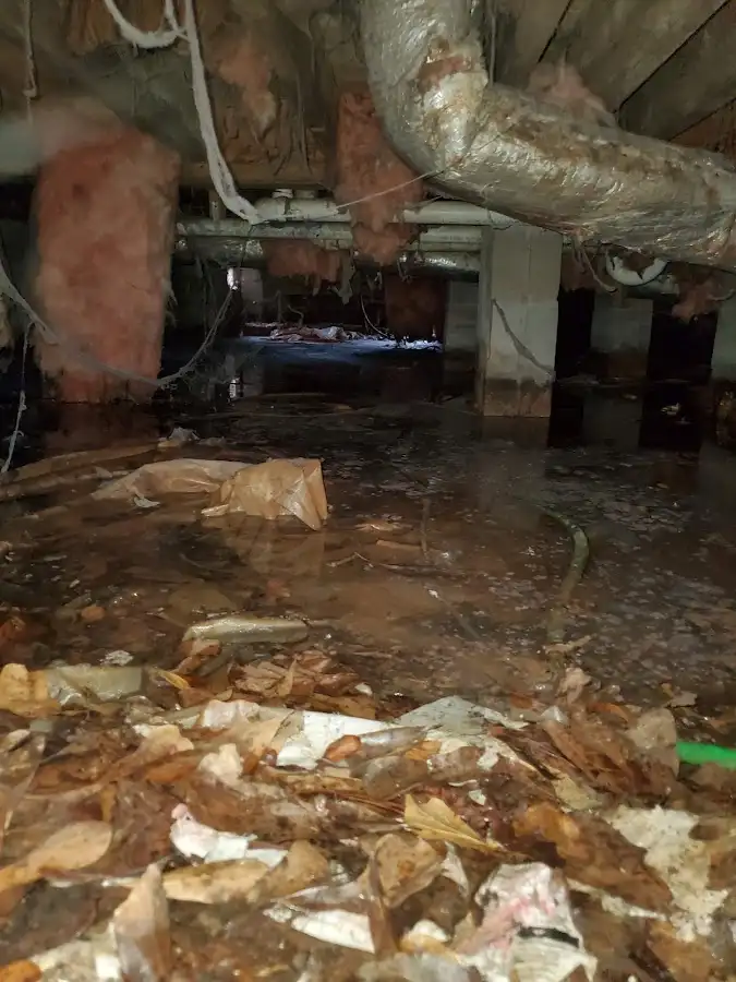Crawl space flood assessment for Leak Detection & Repair in Roanoke
